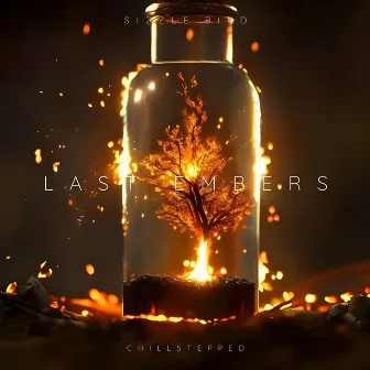 Last Embers by Chilled