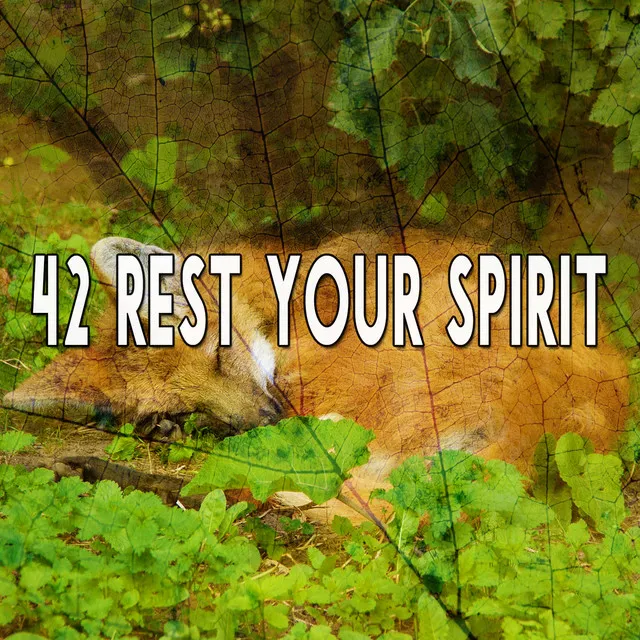 42 Rest Your Spirit