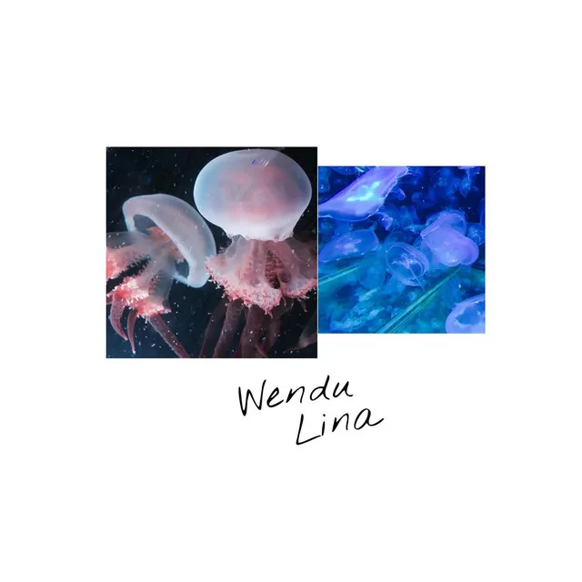 wendulina