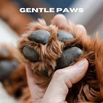 Gentle Paws by Chiens relaxation profonde