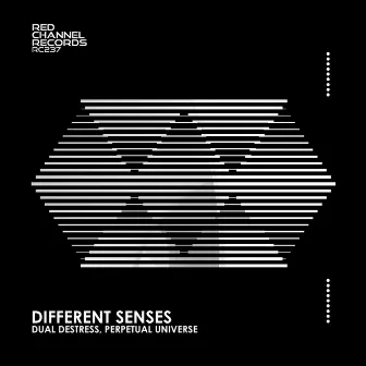 Different Senses by Perpetual Universe