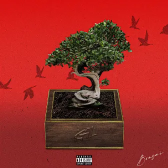 BONSAI by Kal