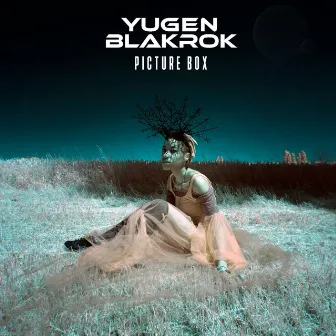 Picture Box by Yugen Blakrok