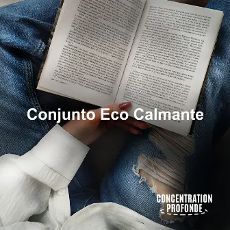 Conjunto Eco Calmante by Concentration Profonde