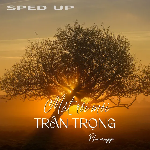 Mất Rồi Mới Trân Trọng (CrackerT Remix) - Sped Up