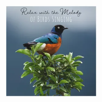 Relax with the Melody of Birds Singing - Deep Relaxation and Positive Vibes by Singing Birds Zone