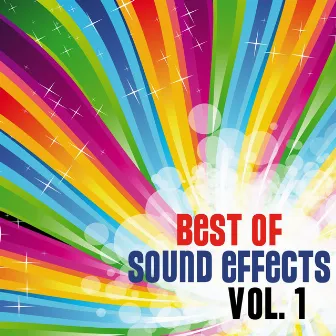 Best Of Sound Effects. Royalty Free Sounds and Backing Loops for Tv, Video, Youtube, Dj, Broadcasting and More, Vol. 1. by DJ Sound Effects