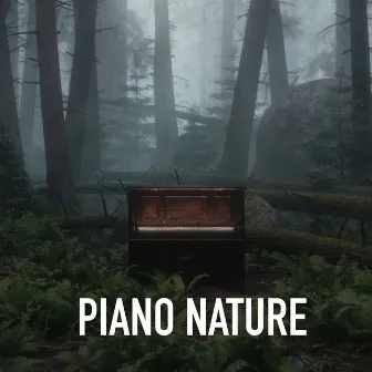 Piano Nature by Laurent Denis