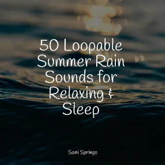 50 Loopable Summer Rain Sounds for Relaxing & Sleep by Ambient Nature White Noise