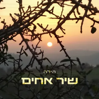 שיר אחים by הילה