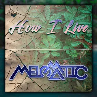 How I Live by Melomatic