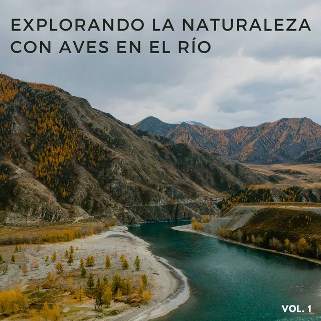 Explorando La Naturaleza Con Aves En El Río Vol. 1