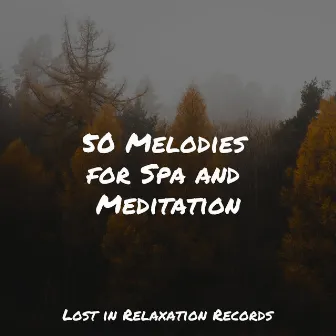 50 Melodies for Spa and Meditation by Zen