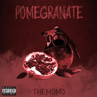 Pomegranate by TheMomo