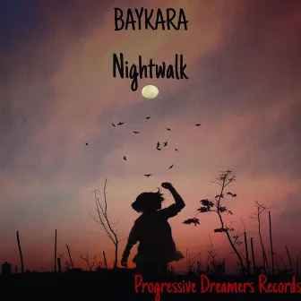 Nightwalk by Baykara