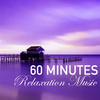 60 Minutes of Relaxation Music - 1 Hour Song to Fall Asleep Fast, Wellness Sleep Track by Unknown Artist