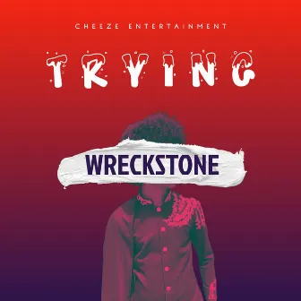 Trying by Wreckstone