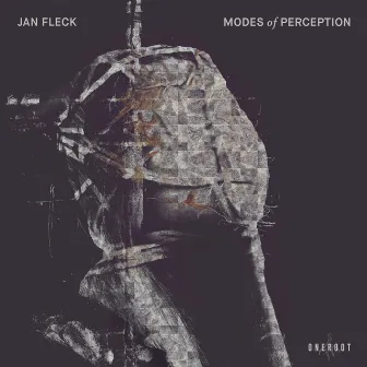 Modes of Perception by Jan Fleck