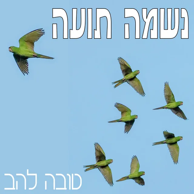 טובה להב