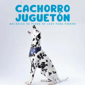 Cachorro Juguetón: Melodías De Piano De Jazz Para Perros by Radio Jazz de Nueva Orleans