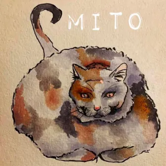 Cat Food and Condoms by Mito