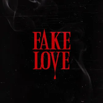 Fake Love by Darien Kyle