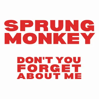 Don't You (Forget About Me) by Sprung Monkey