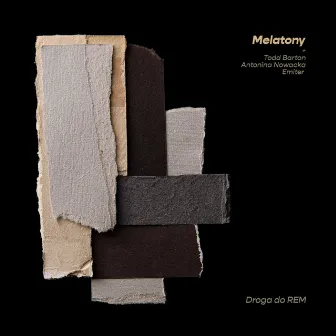 Melatony. Droga do rem by Hubert Zemler