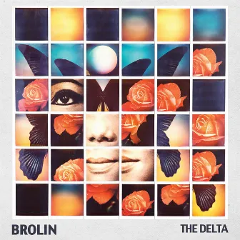 The Delta by Brolin