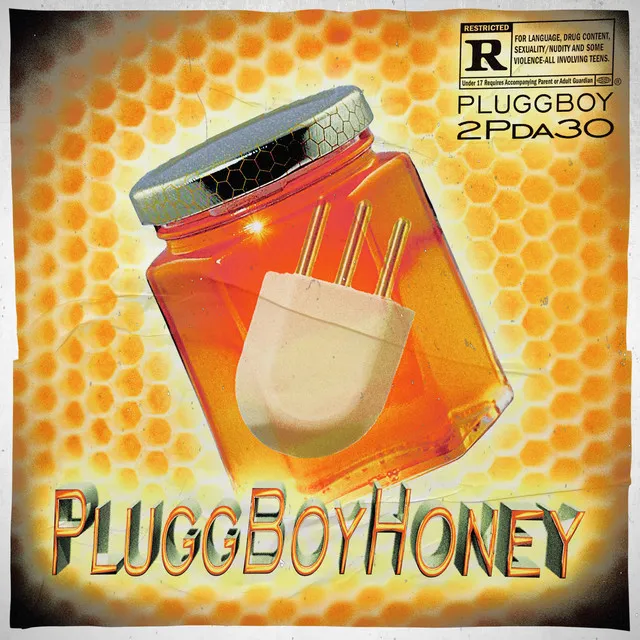 Pluggboyhoney