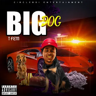 BIG DOG by T Fetti