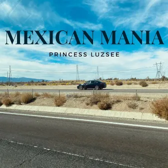 Mexican Mania by Princess LuzSee