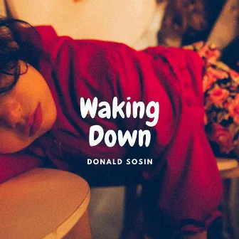 Waking Down by Donald Sosin