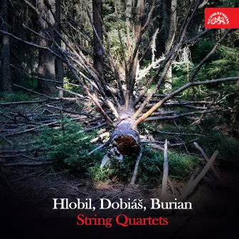 Hlobil, Dobiáš & Burian: String Quartets by Vlach Quartet