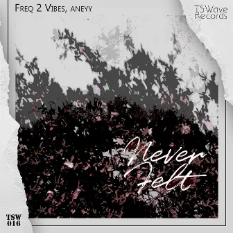 Never Felt by aneyy