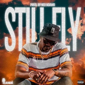 Still Fly by Mandé