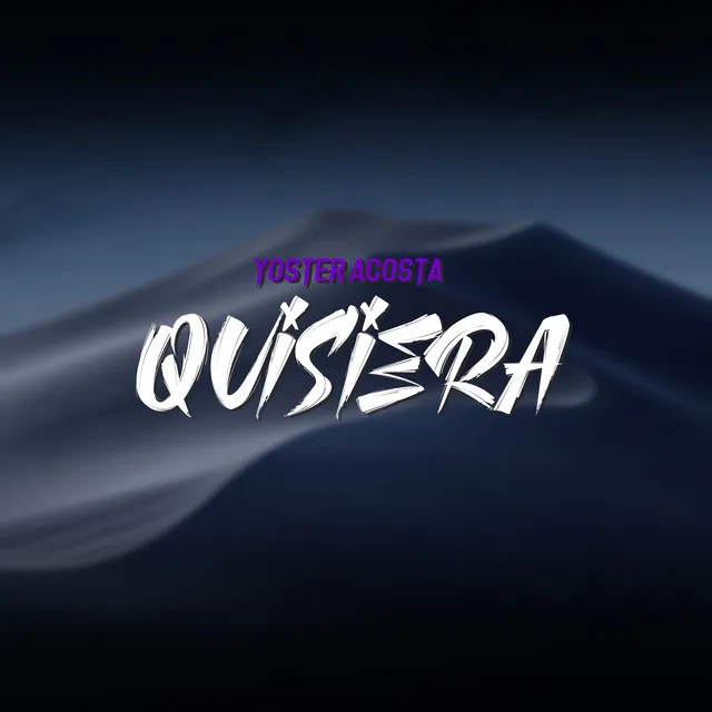 Quisiera