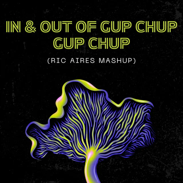 In & Out Of Gup Chup Gup Chup - Ric Aires Mashup