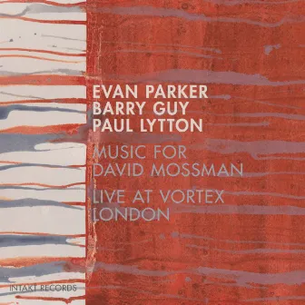 Music for David Mossman (Live at Vortex London) by Paul Lytton