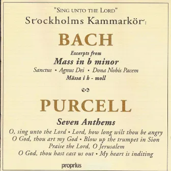 Sing unto the Lord by Stockholm Chamber Choir