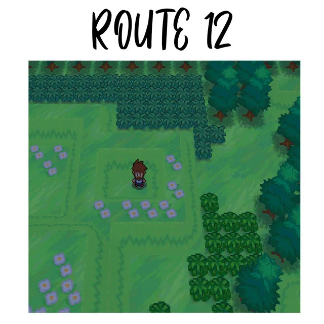 Exploring Route 12