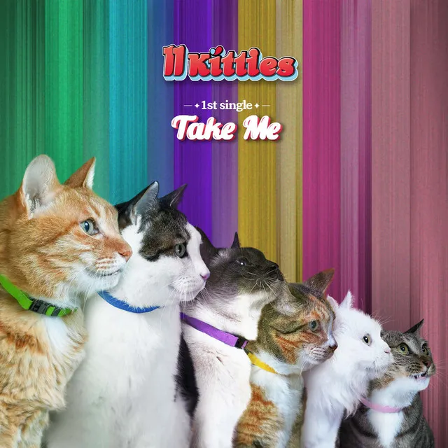 Take Me (with 11Kitties)