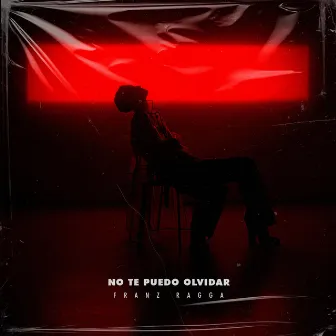 No Te Puedo Olvidar by Franz Ragga