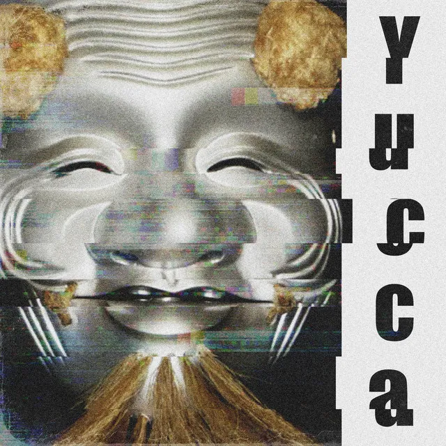 Yucca