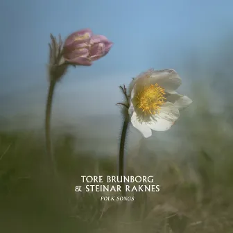 Folk Songs by Tore Brunborg