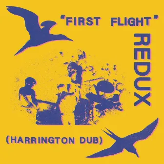 First Flight REDUX by Dave Harrington