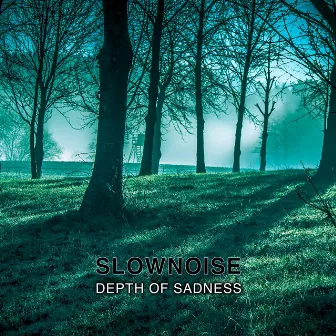 Depth of Sadness by Slownoise