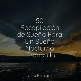 50 Recopilación de Sueño Para Un Sueño Nocturno Tranquilo by Música a Relajarse