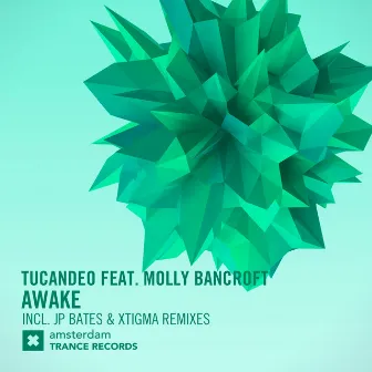 Awake (The Remixes) by Tucandeo