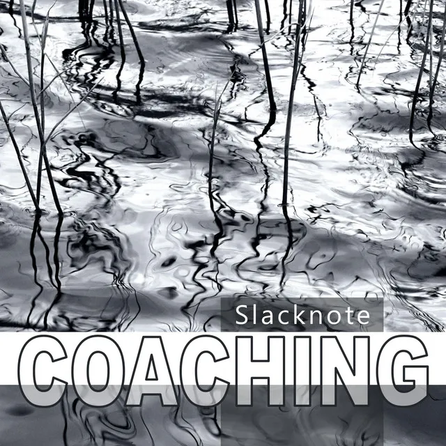 Version Coaching 6